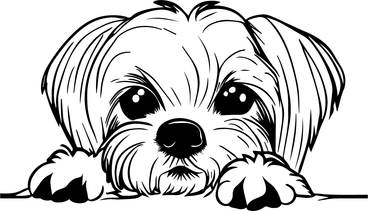 Petite Pooch – Grooms by Krysti Lee logo